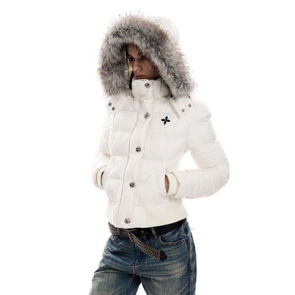 Stellar Crest Down Bomber